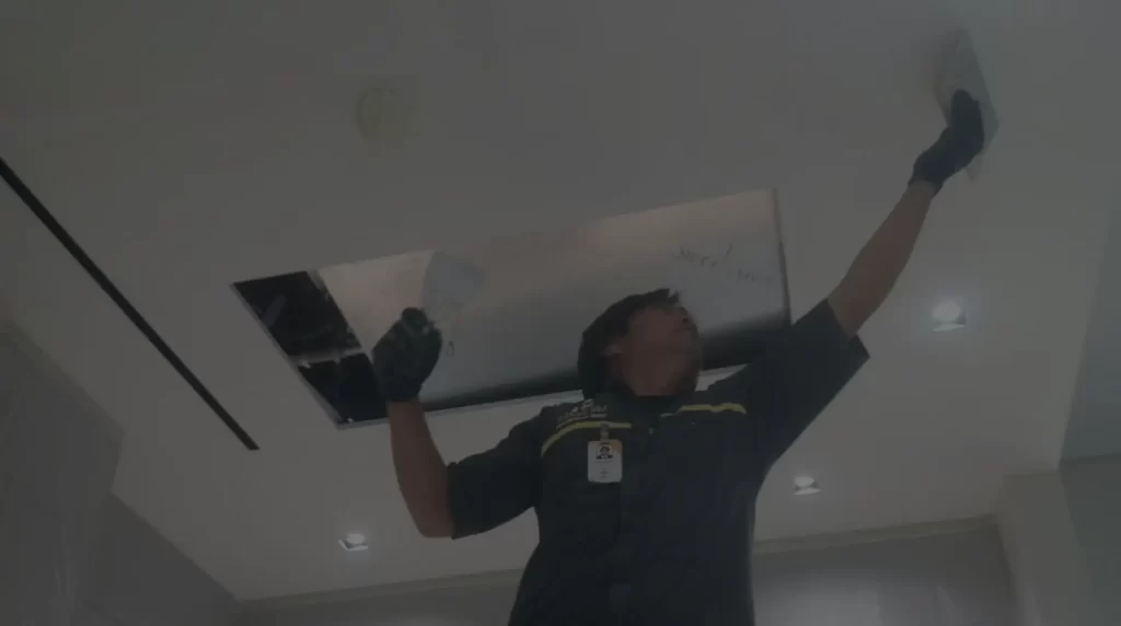 Mr. Fixer Painting service
